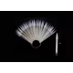 Fan daisy Stiletto 50 bucăți  Natural