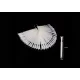 Fan daisy inversat Stiletto 50 bucăți  Natural