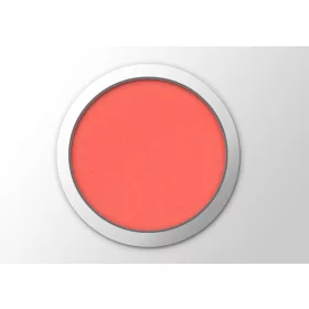 Pudră colorată pentru porțelan 3 g #015 Portocaliu