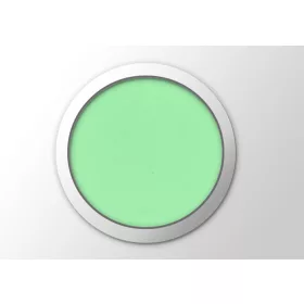 Pudră de porțelan colorată 3 g #016 Verde