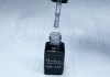 Gel lac One Step 5ml #269 Sclipire argintie intensă  