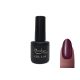 Gel lac 6ml #010 Vișiniu