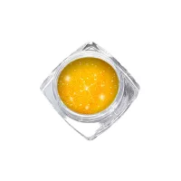 Pudră de sclipici neon