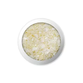 Cochilie spartă  #008 