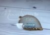 Lac gel fosforescent 5 ml #633 Albastru sclipitor